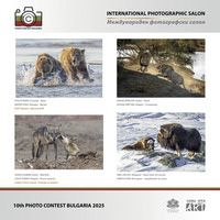 Фото салон Варна 2026 за афиш