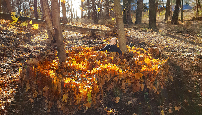 Leaf Pools © Ulf Mejergren Architects